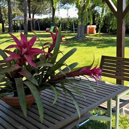 Riva Etrusca 3* Marina Di Bibbona