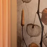 Hotel Riva Etrusca 3*