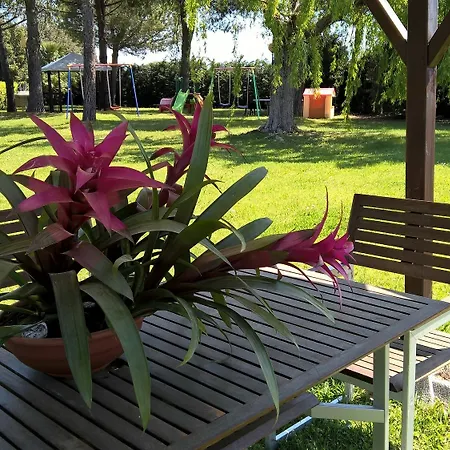 Riva Etrusca 3* Marina Di Bibbona
